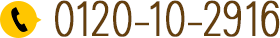 0120-10-2916