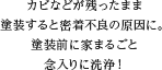 カビなどが残ったまま塗装すると密着不良の原因に。塗装前に家まるごと念入りに洗浄!