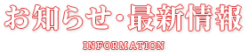 実績紹介